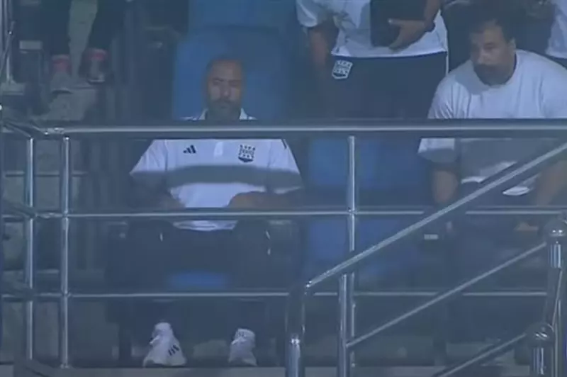 محمد شوقي